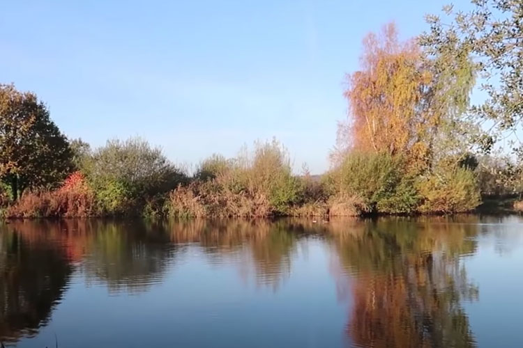Longbridge Lake